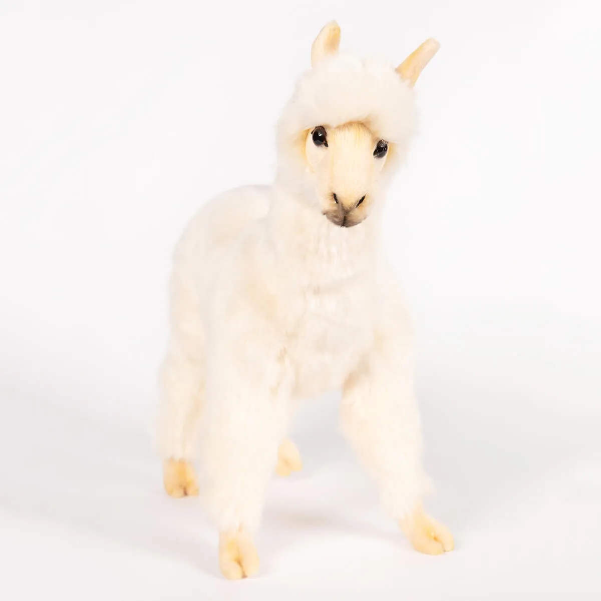 Alpaca (32cm) by Hansa