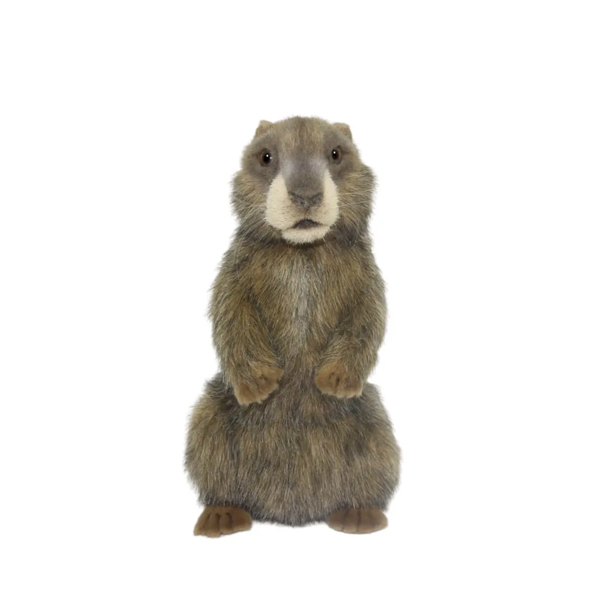 Alpine Marmot (29cm) by Hansa