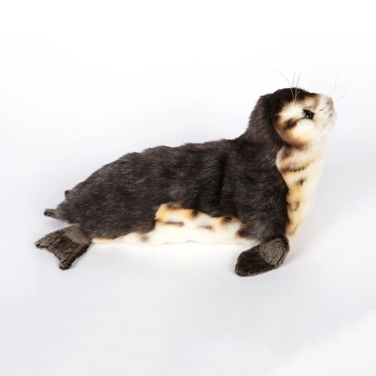 Baby Seal Monk (30cm) by Hansa