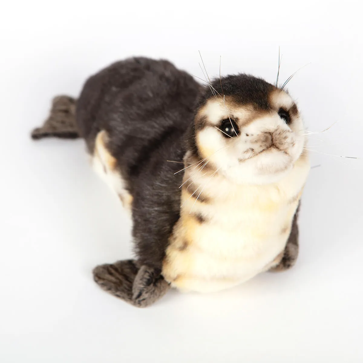 Baby Seal Monk (30cm) by Hansa