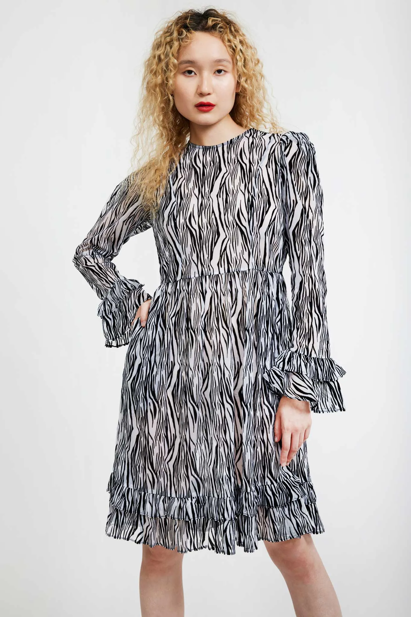 Collarless Prairie Dress in Flocked Zebra