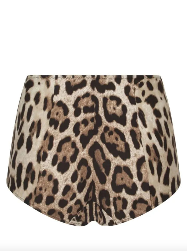 Dolce & Gabbana leopard-print high-waisted bikini bottom