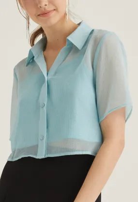 Sheer Cropped Button Up Top