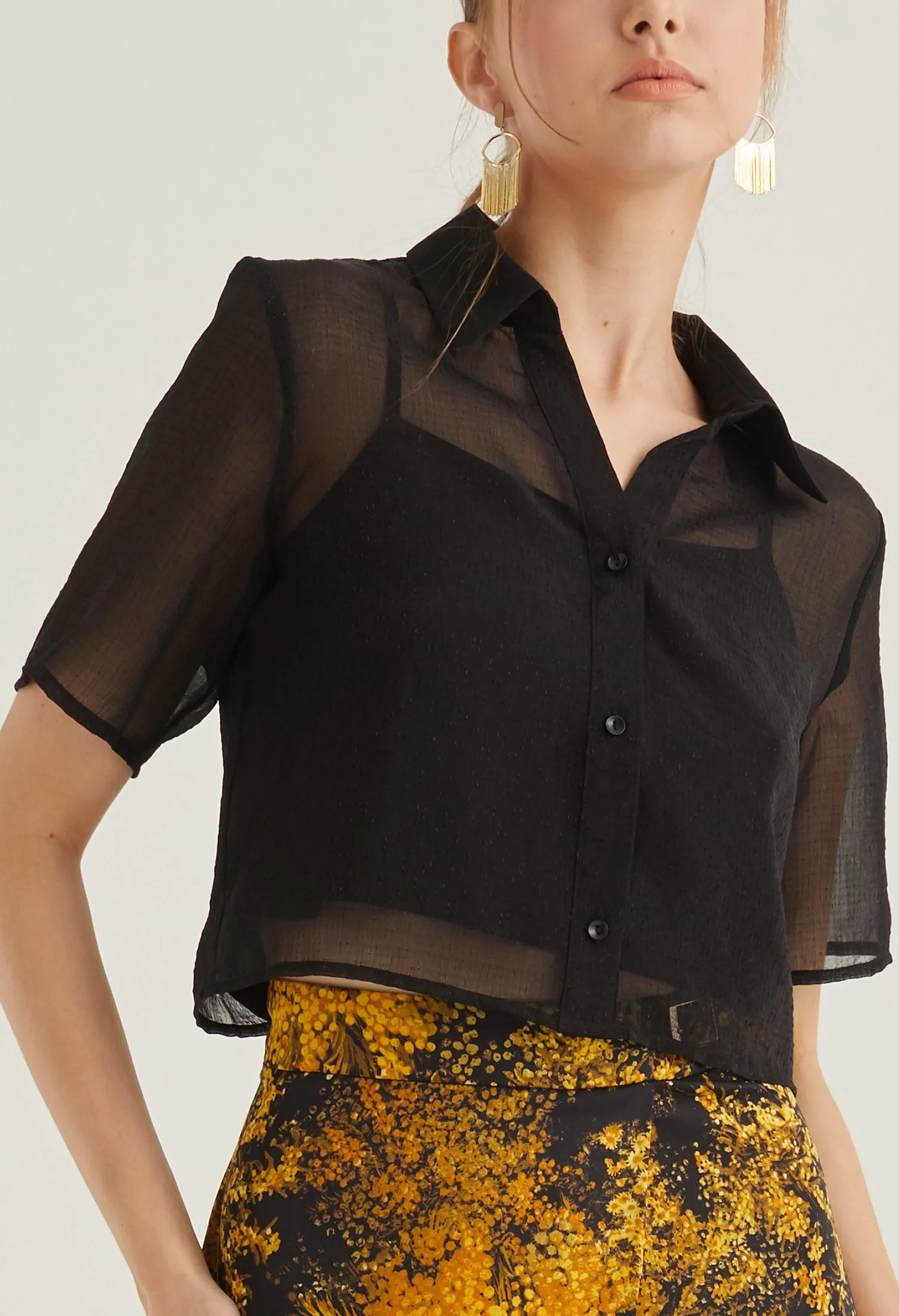 Sheer Cropped Button Up Top