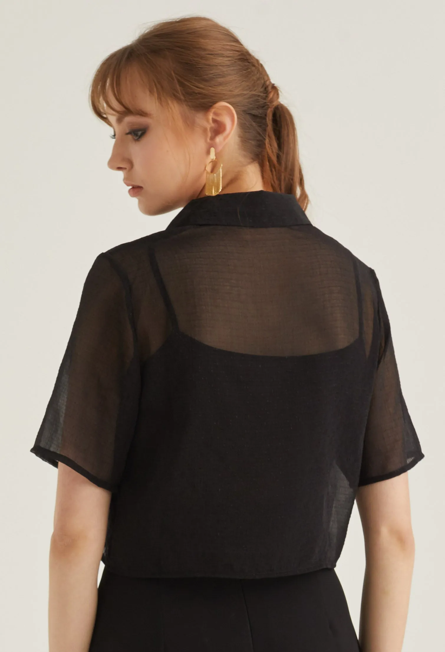 Sheer Cropped Button Up Top