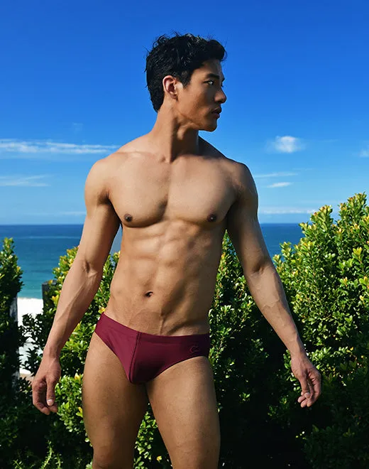 V10 Core Swimwear (Series 2) - Tawny Port